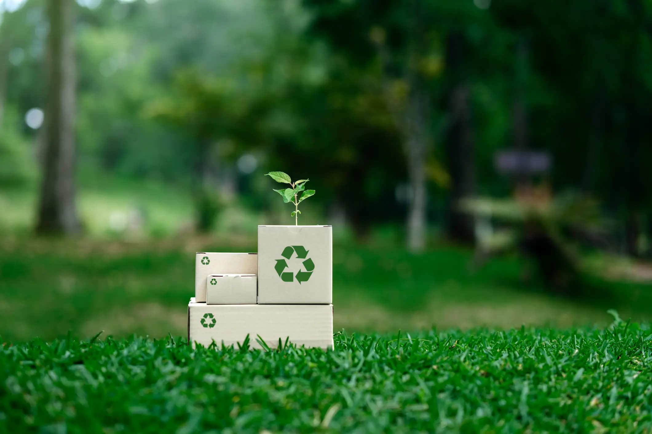 circular packaging